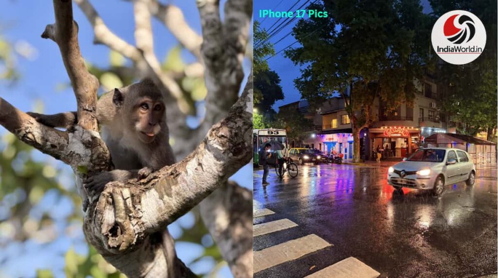 iPhone 17 Black Friday sale